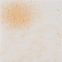 Frits 591-1SF poeder 50gram